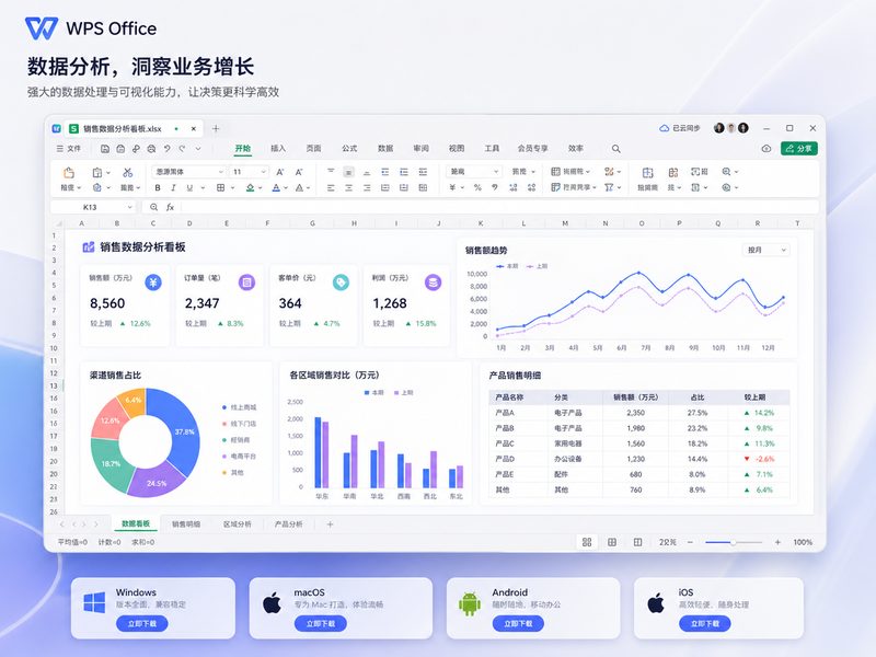 WPS 数据分析